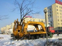 Pełen zakres robót przy zieleni miejskiej, osiedlowej i parkowej, w tym także zabytkowej